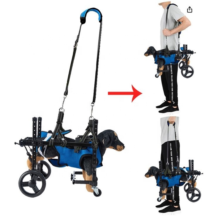 Small Dog Rehabilitation Train - Outdoor Power Wheels review and price