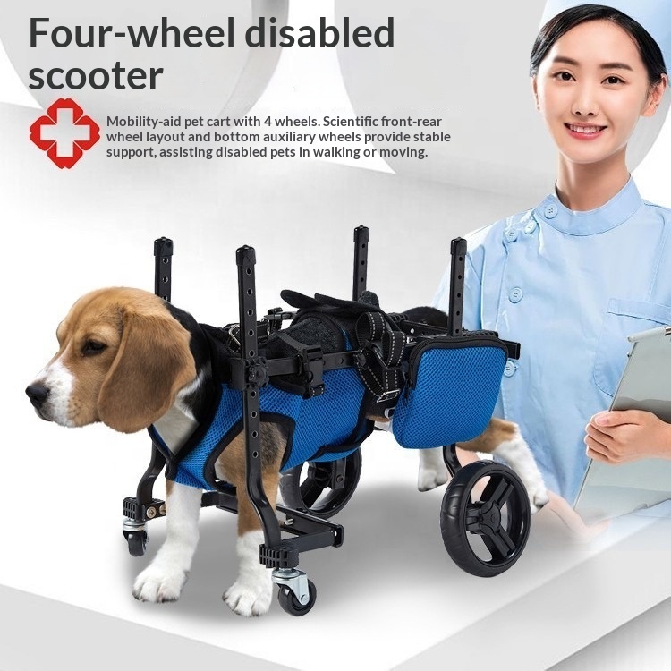 Small Dog Rehabilitation Train - Outdoor Power Wheels review and price